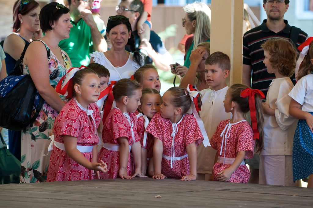 DFS Prvosienka na DFF 2016, ZUŠ Dubnica nad Váhom