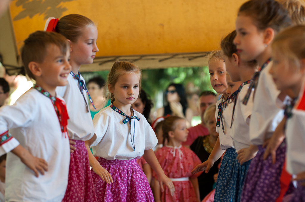 DFS Prvosienka na DFF 2016, ZUŠ Dubnica nad Váhom