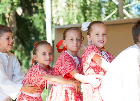 DFS Prvosienka na DFF 2016, ZUŠ Dubnica nad Váhom