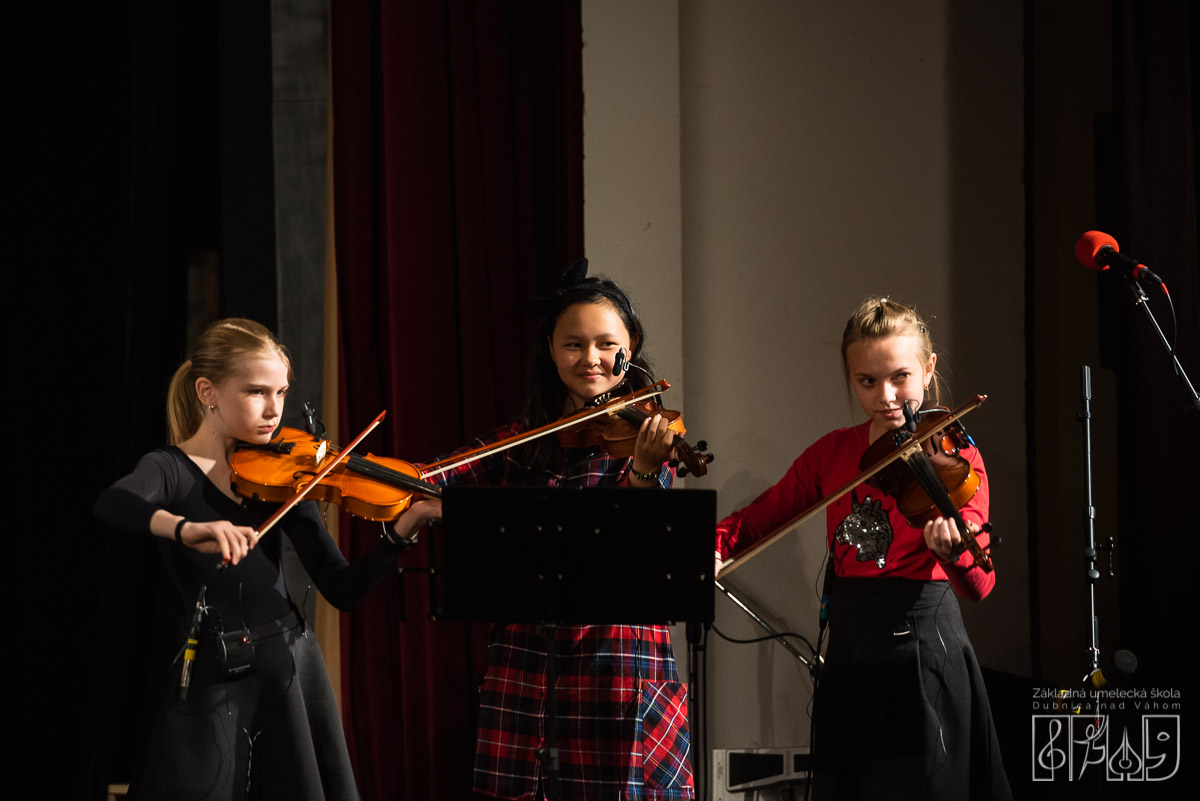 Základná umelecká škola Dubnica nad Váhom. Koncert "Niekto ako ty"