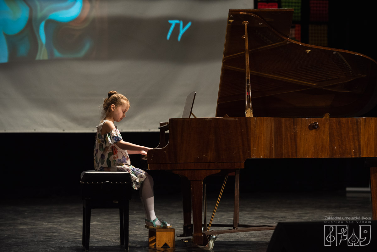 Základná umelecká škola Dubnica nad Váhom. Koncert "Niekto ako ty"