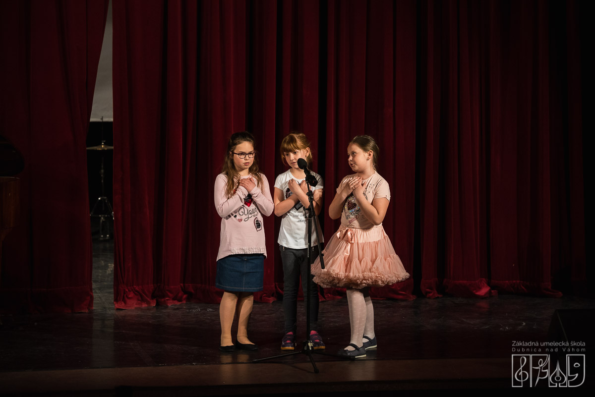 Základná umelecká škola Dubnica nad Váhom. Koncert "Niekto ako ty"