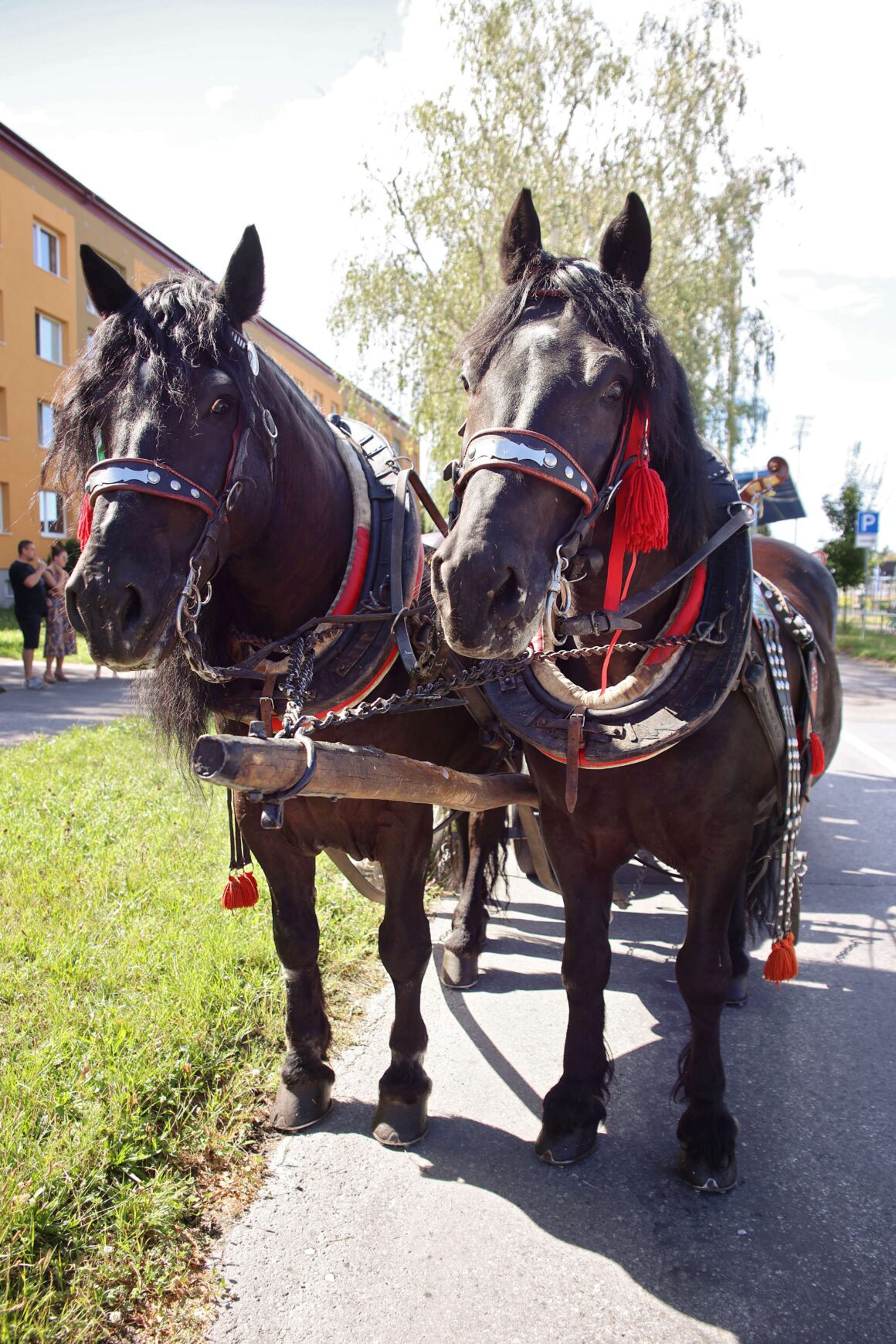32. Dubnický Folklórny Festival Sprievod našej Prvoseinky